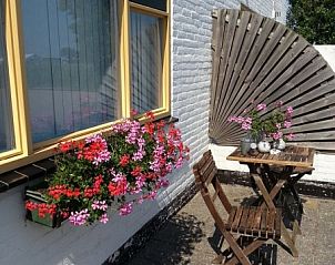 Gemtliche Terrasse des Ferienhauses Familie Bouthoorn, Sd-Eierland, Texel mit bunten Blumen.