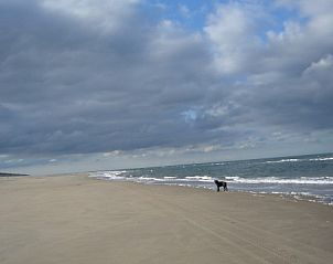 Uitgestrekt strand bij De Vlinder, De Cocksdorp, Texel, perfect voor lange wandelingen langs de zee.