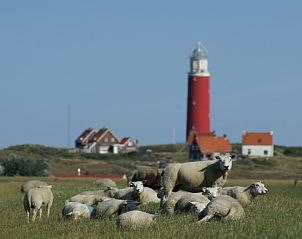 Iconische vuurtoren en schapenweide in de buurt van Type C Appartement de Stoeterij, De Cocksdorp, Texel.