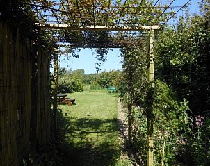 Unterkunft 010131 - Ferienhaus Texel - ganzenvlucht