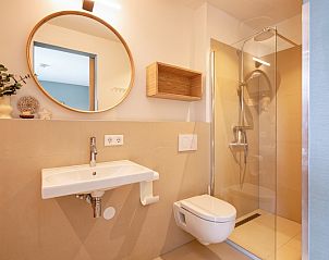 Stylish bathroom in Holiday Home De Razende Bol, De Cocksdorp, Texel, with walk-in shower and modern sink.