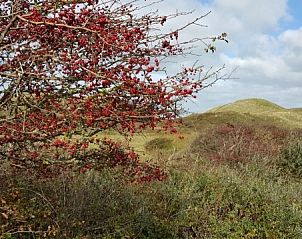 Unterkunft 010132 - Ferienhaus Texel - Junier/huisman