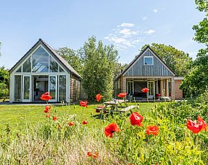 Doppelferienhuser Zeewinde in De Cocksdorp, Texel, umgeben von bunten Blumen und Natur.