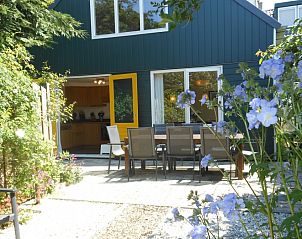 Ferienhaus Ganzenvlucht in De Cocksdorp Texel mit sonniger Terrasse und natrlicher Umgebung.