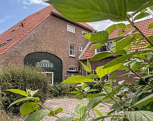 Charmant Vakantiehuis in De Cocksdorp op Texel met groene omgeving.