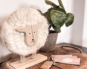 Verblijf 0101447 - Vakantiewoning Texel - Vakantiehuisje in De Cocksdorp