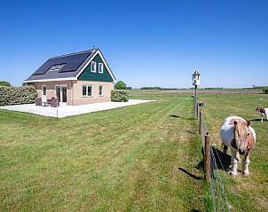 Texels Vakantiehuis met weids uitzicht in De Cocksdorp, perfect voor natuurliefhebbers op Texel, Waddeneilanden.