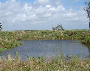 Guest house 0101462 - Holiday property Texel - Huisje in De Cocksdorp