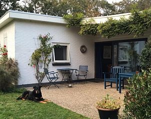 Ontspan op het terras van Bungalow Slufterduin - De Blauwe Skor in De Cocksdorp, Texel, omgeven door groene natuur en rust.