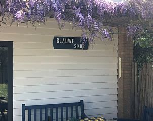 Bungalow Slufterduin - De Blauwe Skor in De Cocksdorp, Texel, met terras en paarse bloemen voor een ontspannen vakantiehuiservaring.