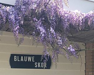 Bungalow Slufterduin - De Blauwe Skor in De Cocksdorp, Texel, met prachtige paarse bloesems boven de ingang voor een sfeervol welkom.