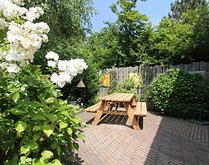 Geniet van de serene tuin bij Vakantiehuis D 758 in De Cocksdorp, Texel. Ontspan op het terras te midden van weelderige natuur op de Waddeneilanden.