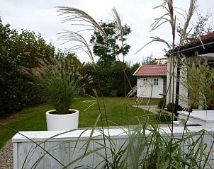 Ontspan in de tuin van Vakantiehuis D 585 in De Cocksdorp, Texel. Geniet van de groene omgeving en het rustige uitzicht op de Waddeneilanden.
