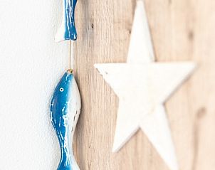 Verblijf 0101603 - Vakantiewoning Texel - Vakantiehuis B 043