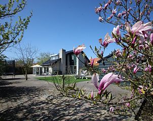 Unterkunft 0101713 - Ferienhaus Texel - Vakantiehuis Blom & Co