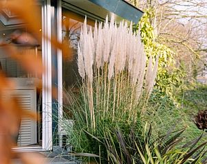 Verblijf 0101789 - Vakantiewoning Texel - Tweepersoons kamer Superior tuin suite - Bad/douche/toilet
