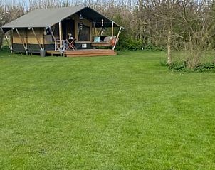 Verblijf 0101833 - Vakantiewoning Texel - Safaritent