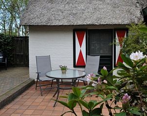 Zonnig terras van vakantiehuis Wind en Zee in De Koog, Texel, omgeven door bloeiende planten.
