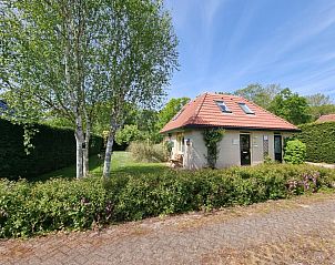 Zomerse tuin bij Residentie Californi - Geborchenheit - 361, vakantieverblijf in De Koog, Texel, Waddeneilanden.