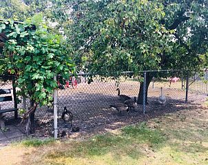 Verblijf 01021293 - Vakantiewoning West Brabant - Pipowagen de Weideblick