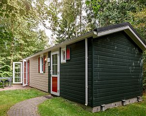 Unterkunft 01021701 • Chalet Noord Drenthe • Bospark Lunsbergen 5 