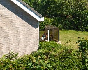 Privterras van De kemphaan: Vakantiehuis Texel, De Koog, omgeven door groen, ideaal voor rust en privacy op Texel.