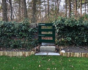 Natuurlijke omgeving van 't Buitenhuisje, vakantiehuis in De Koog, Texel, met groene paden en serene uitzichten voor ontspanning.