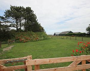 Uitzicht op groene omgeving van 6 Persoons luxe villa met sauna, De Koog, Texel, met bloemen en weidse velden.