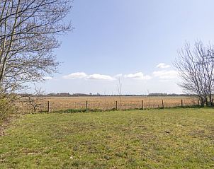 Unterkunft 01022552 - Bungalow Texel - Californiëweg 73