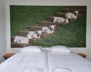 Verblijf 01022555 - Vakantiewoning Texel - Villa Duyncoogh