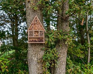 Insectenhotel in de tuin van IJsvogel 10 in De Koog Texel, omringd door groen.
