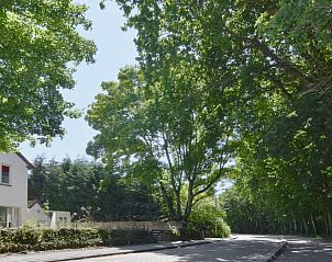 Boomrijke omgeving bij Texel C vakantiehuis in De Koog, Texel, Waddeneilanden.