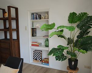 Boekenkast en groene plant in de woonkamer van Plevierstraat 24 - Tuunwoal, De Koog, Texel.