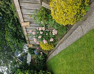 Bloeiende tuin van vakantiehuis Zeelucht in De Koog, Texel met kleurrijke bloemen.