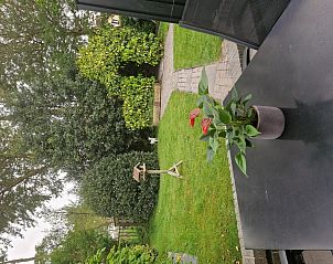 Uitzicht vanaf het terras van vakantiehuis Zeelucht in De Koog, Texel met groene omgeving.