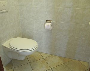 Stijlvolle badkamer in Agter Mienterglop - Vakantiehuis 5103, De Koog, Texel, met toilet en tegelvloer.