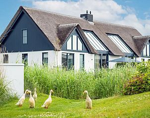 Guest house 0102554 - Holiday property Texel - Luxe Familievilla 1-12 personen