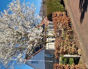 Verblijf 0102600 - Vakantiewoning Texel - Villa 8