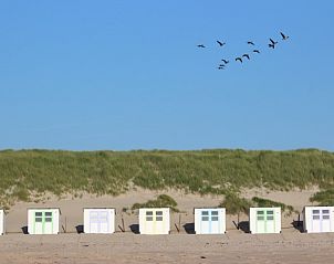 Flying birds above beach houses on Texel, near 6-pers. Vacation home with Sauna in De Koog, Wadden Islands.