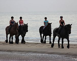 Horseback riding on the beach of Texel, near 6-pers. Vacation home with sauna in De Koog, Wadden Islands.