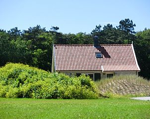 Rustiek vakantieverblijf De Eik op Texel omgeven door groene duinen en bomen.