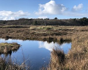 Rustige natuur rondom Camping Coogherveld Texel in De Koog, ideaal voor wandelingen op de Waddeneilanden.