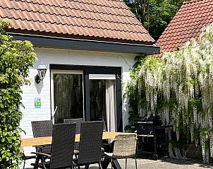 Terras van Koetshuis 3, vakantiehuis in De Koog, Texel, omgeven door bloemen.