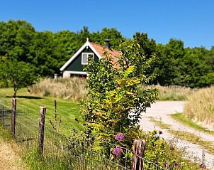Green garden at Duinrand Holiday Villas Type 1 in De Koog, Texel.