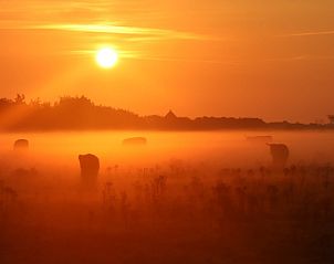 Foggy morning at Duinrand Holiday Villas Type 1 in De Koog, Texel.