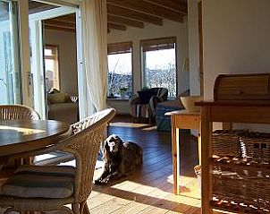Zonnige binnenruimte van Texel Villa Duinzicht, vakantiehuis in De Koog, Texel, met huiselijke sfeer.