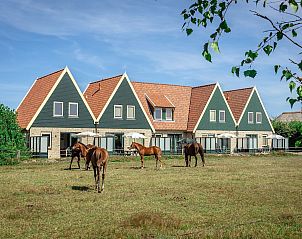 Unterkunft 0102973 - Ferienhaus Texel - Landleven vakantiehuis 83