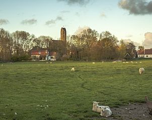 Guest house 010309 - Holiday property Texel - Bungalow De Kemphaan