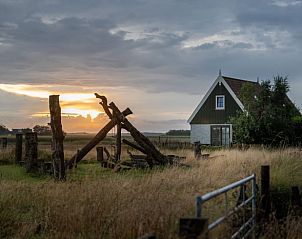 Guest house 010326 - Holiday property Texel - Huisje in De Waal