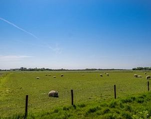 Guest house 010326 - Holiday property Texel - Huisje in De Waal